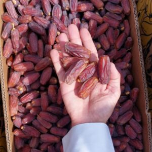 Alternative view of Mabroom Dates (A Grade) Mixed Size 1kg