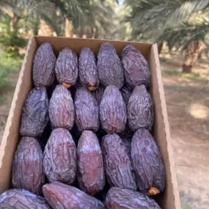 Alternative view of Egyptian Medjool Large 1kg